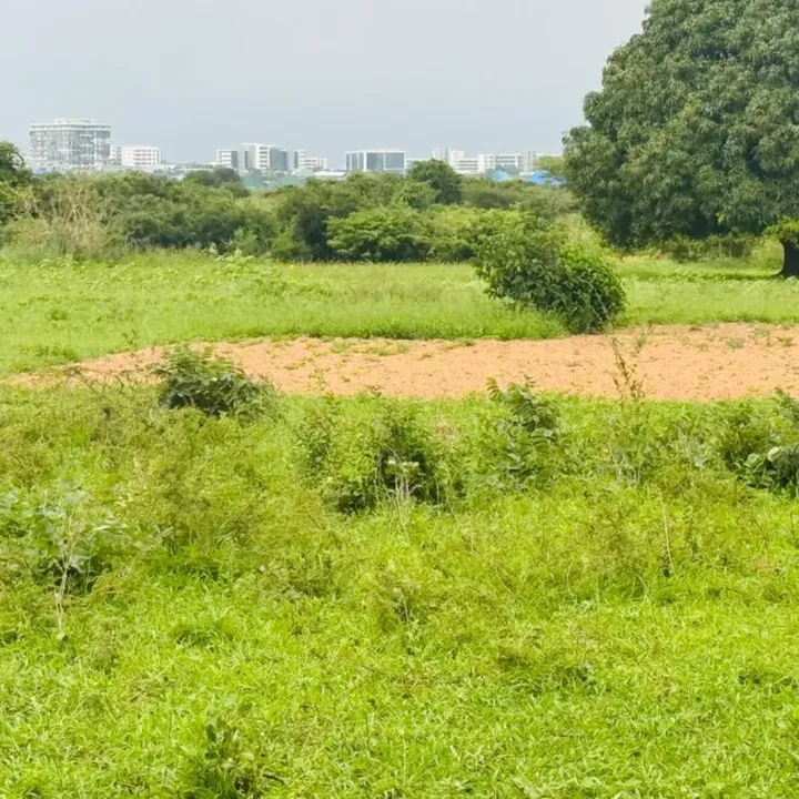 Residential Plot