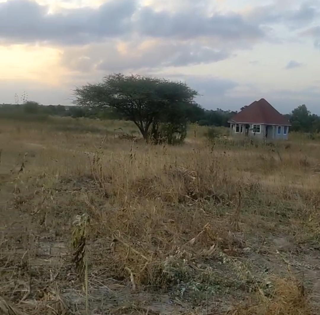 Residential Plot