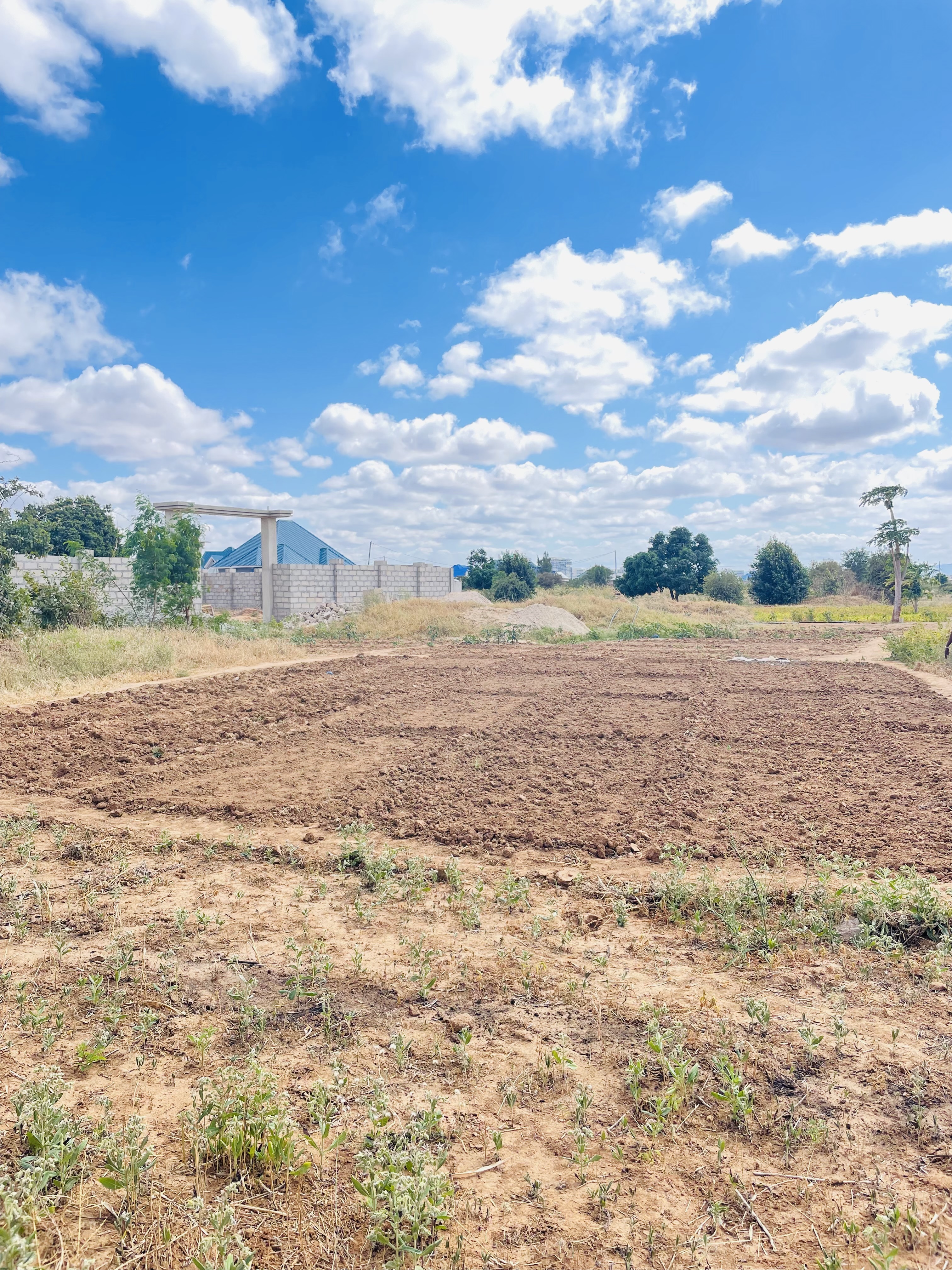 Residential Plot