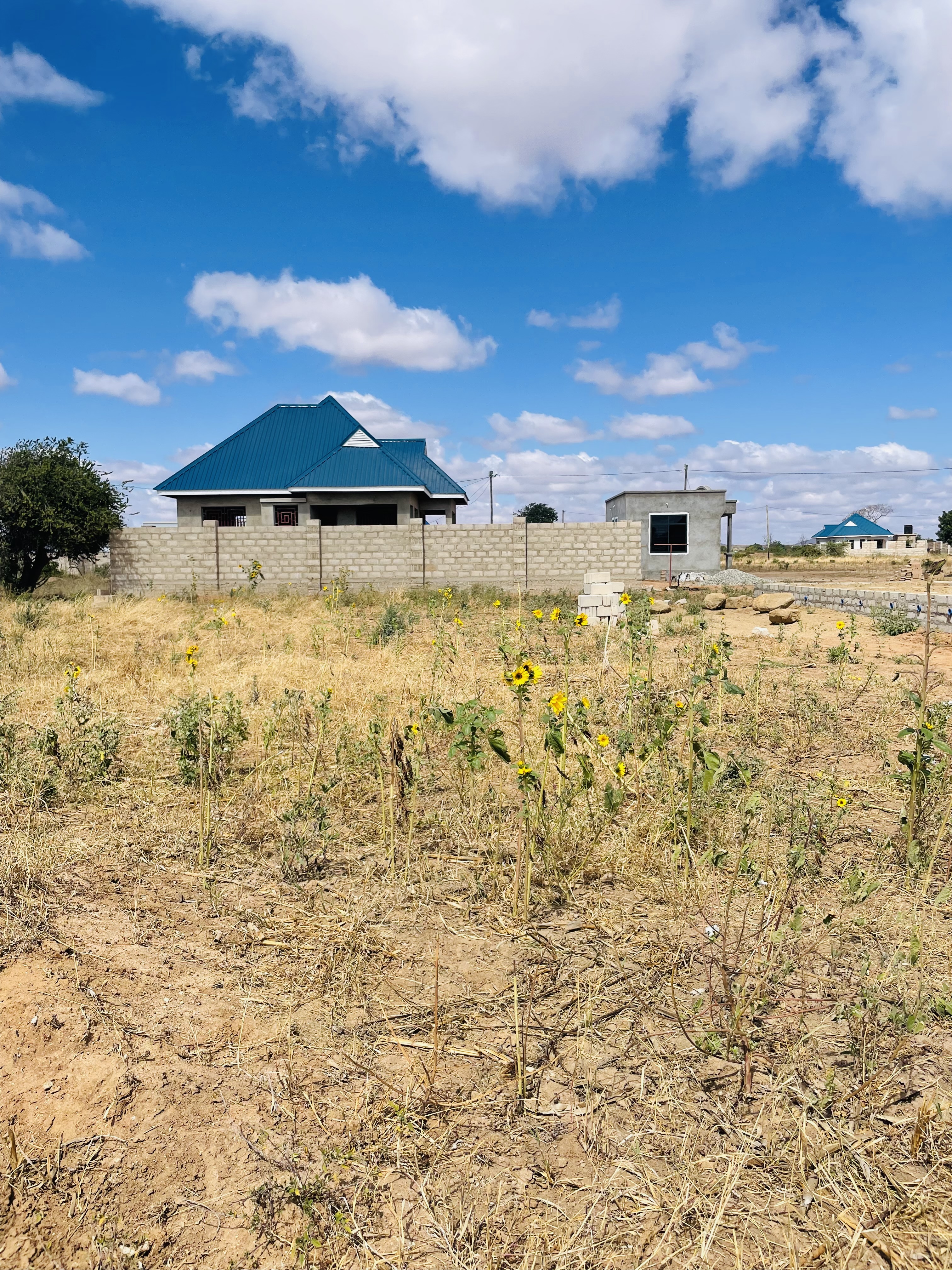 Residential Plot