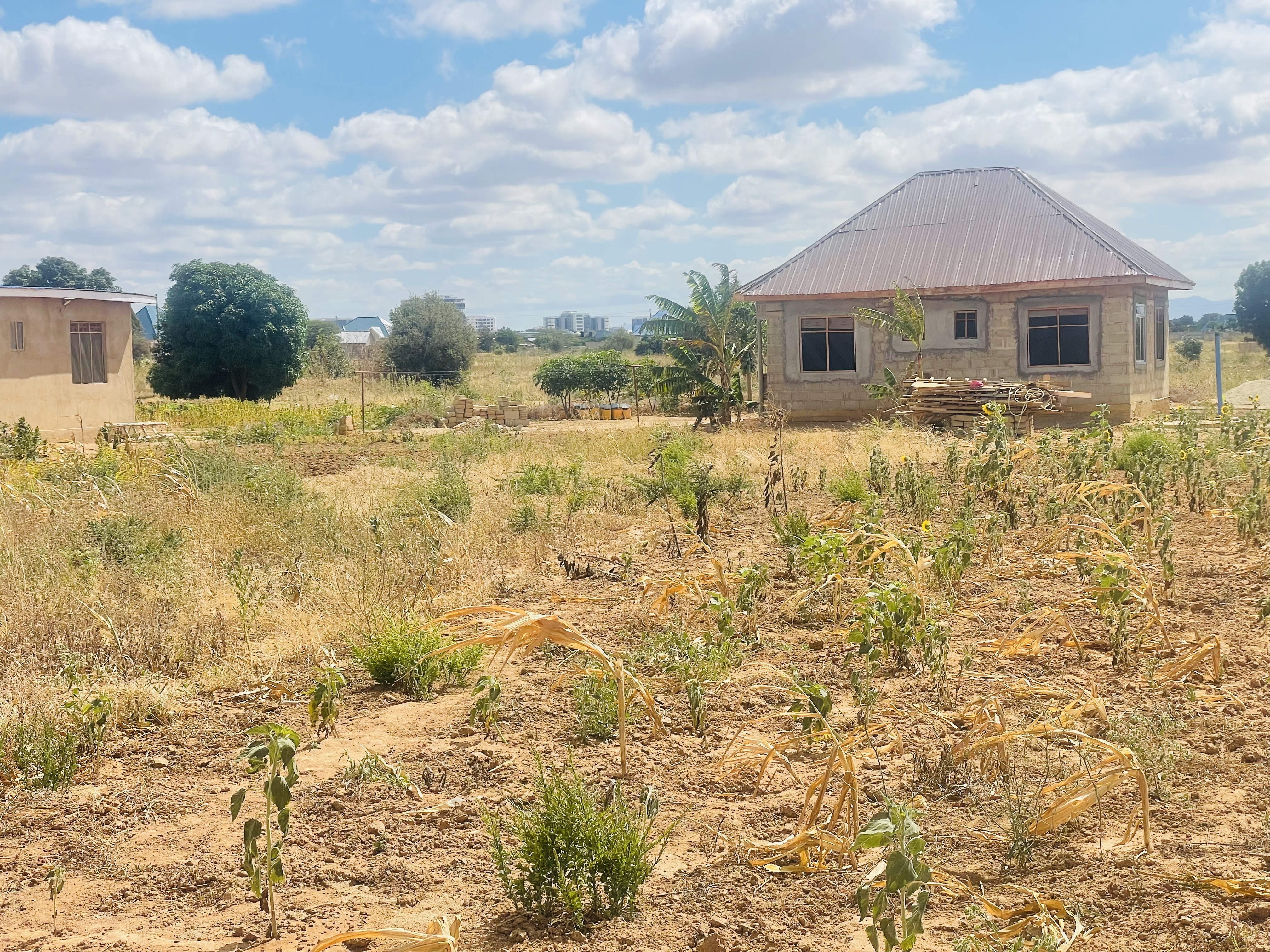 Residential Plot